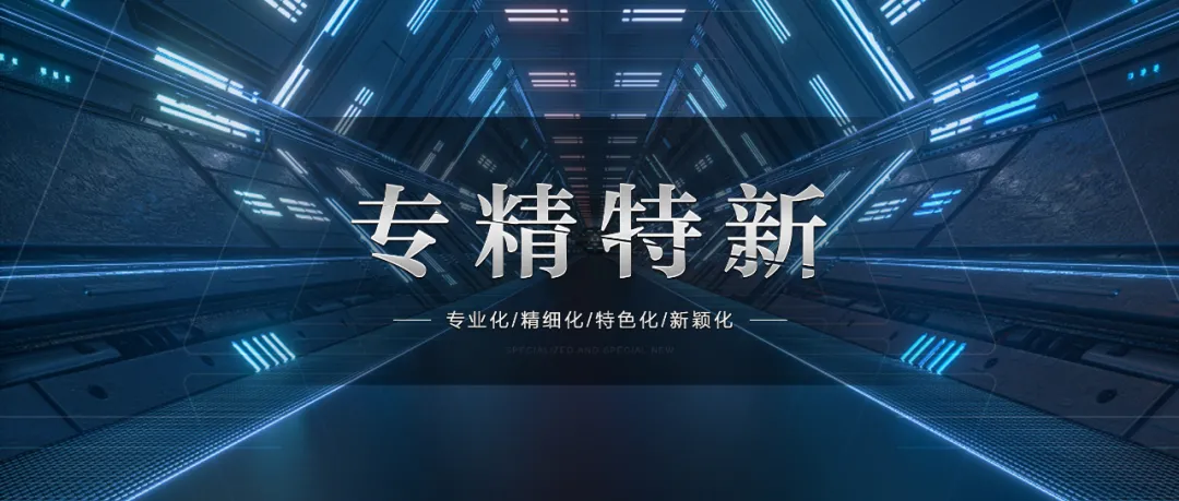 上海龍勝獲“專精特新”企業(yè)稱號(hào)
